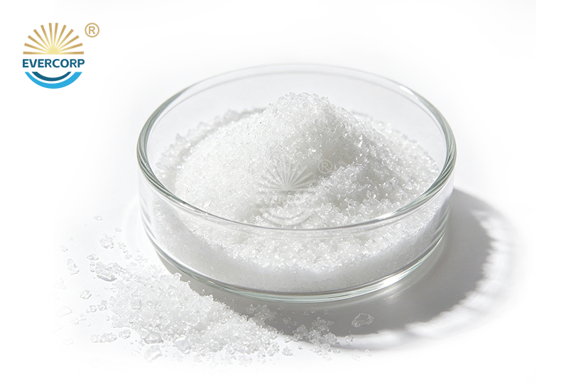 Citric Acid Monohydrate Powder